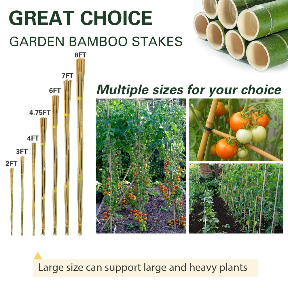 Sprigra Bamboo Stakes 3FT displayed with other garden tools