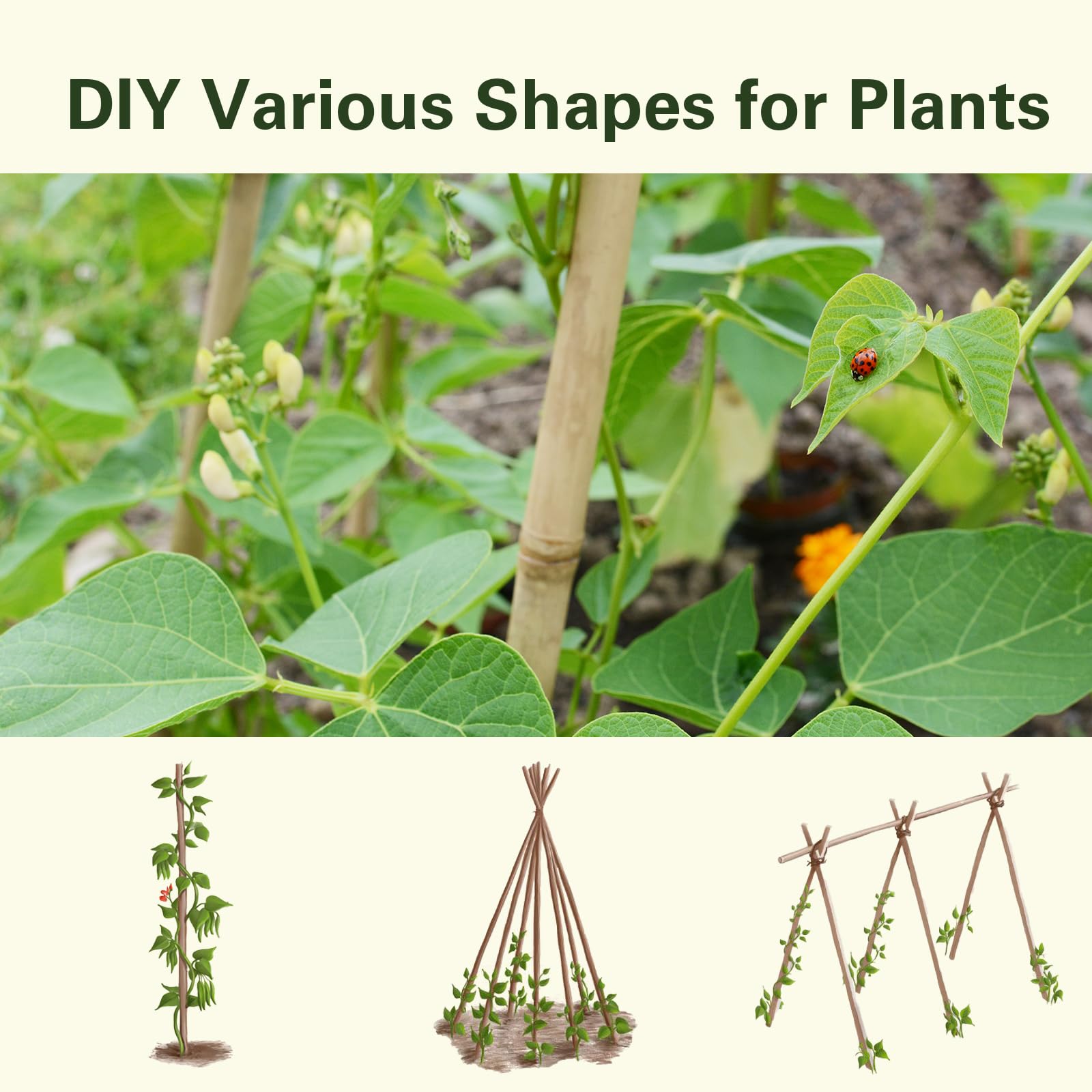 Sprigra Bamboo Stakes 3FT in a garden setting