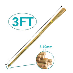 Sprigra Bamboo Stakes 3FT insert into the ground