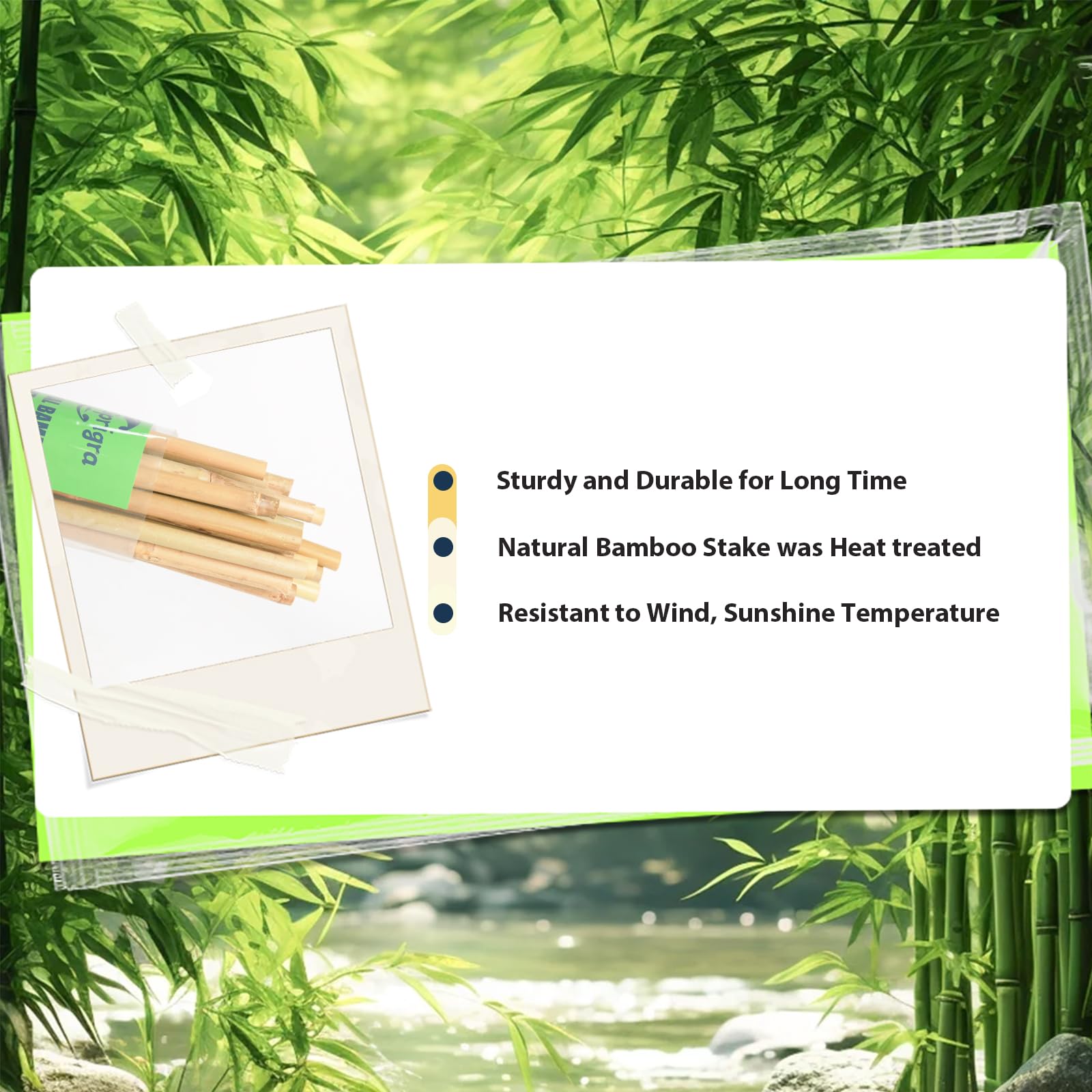 Sprigra Bamboo Stakes 3FT pack of 30 with packaging