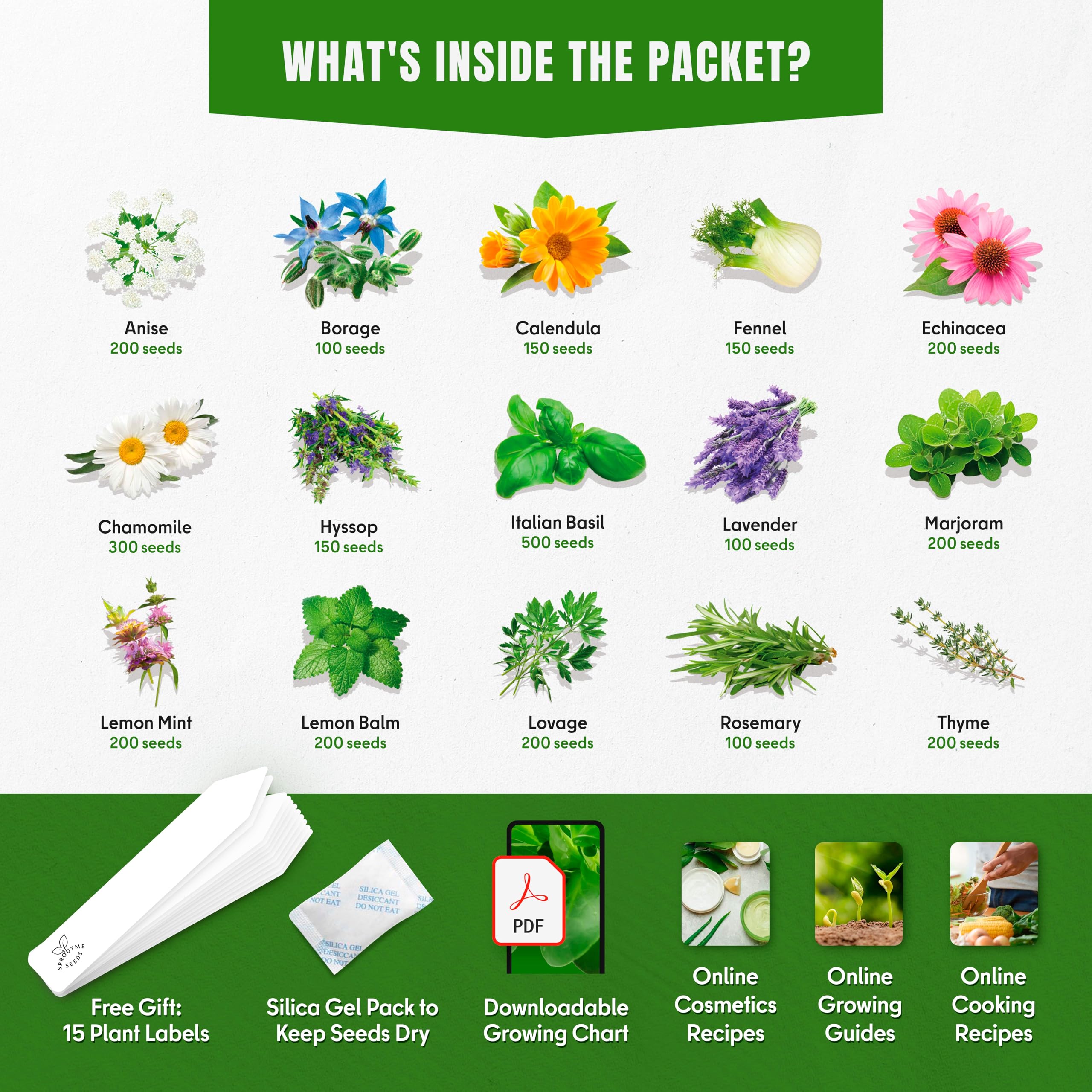 SPROUTME SEEDS Medicinal Herb Seeds Variety Pack – 2950+ Non-GMO Heirloom Seeds
