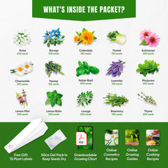 SPROUTME SEEDS Medicinal Herb Seeds Variety Pack – 2950+ Non-GMO Heirloom Seeds