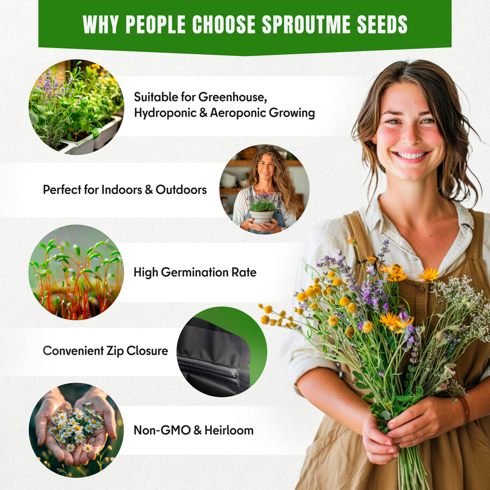 SPROUTME SEEDS Medicinal Herb Seeds Variety Pack – 2950+ Non-GMO Heirloom Seeds