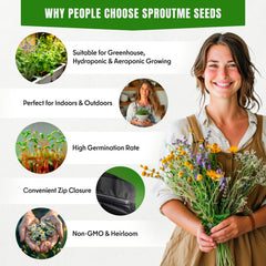 SPROUTME SEEDS Medicinal Herb Seeds Variety Pack – 2950+ Non-GMO Heirloom Seeds