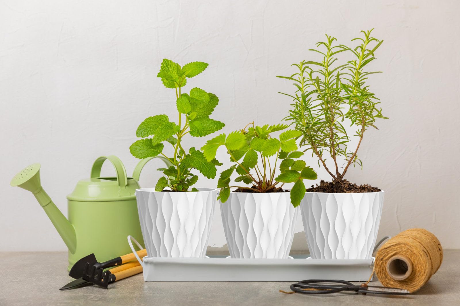 SQKH 4 Inch Indoor Plant Pot showcasing modern design