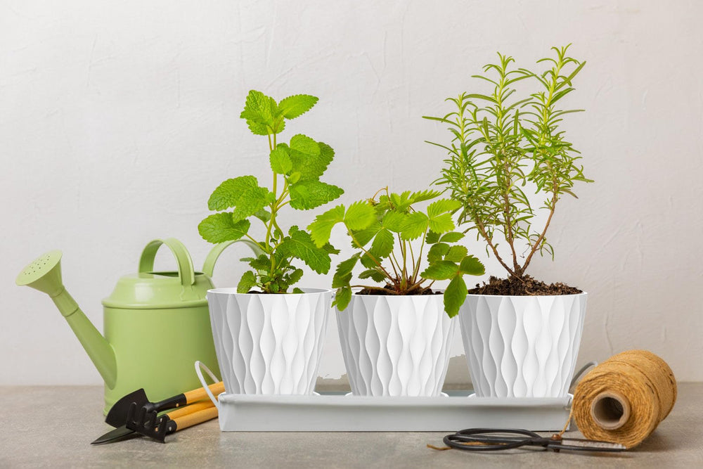 SQKH 4 Inch Indoor Plant Pot showcasing modern design