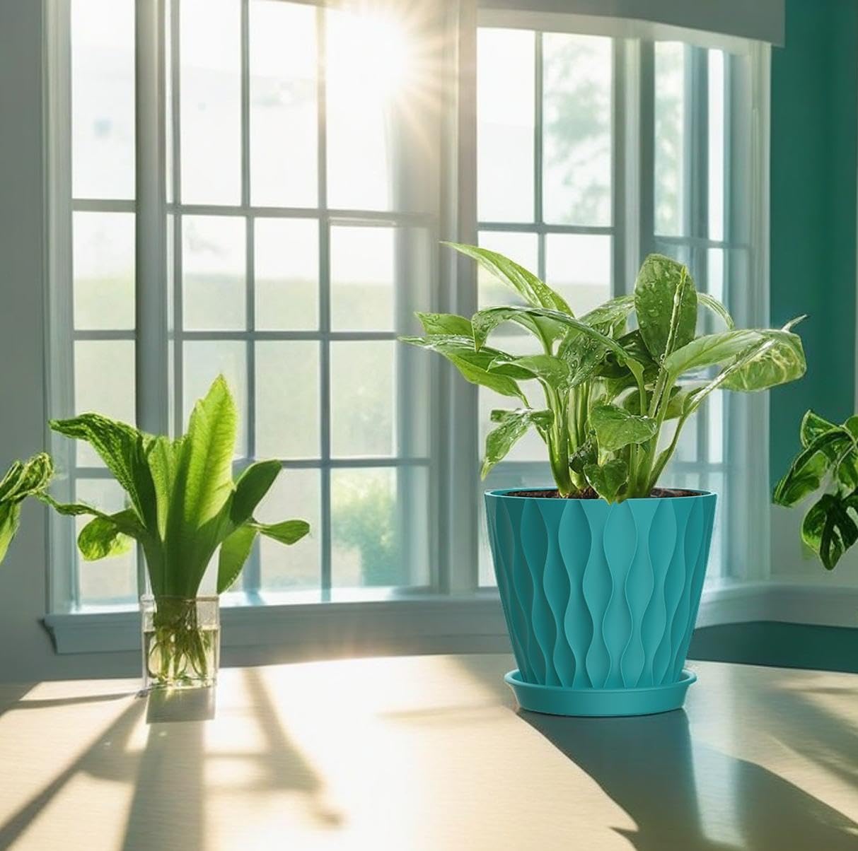 SQKH 4 Inch indoor plant pots in a modern living room
