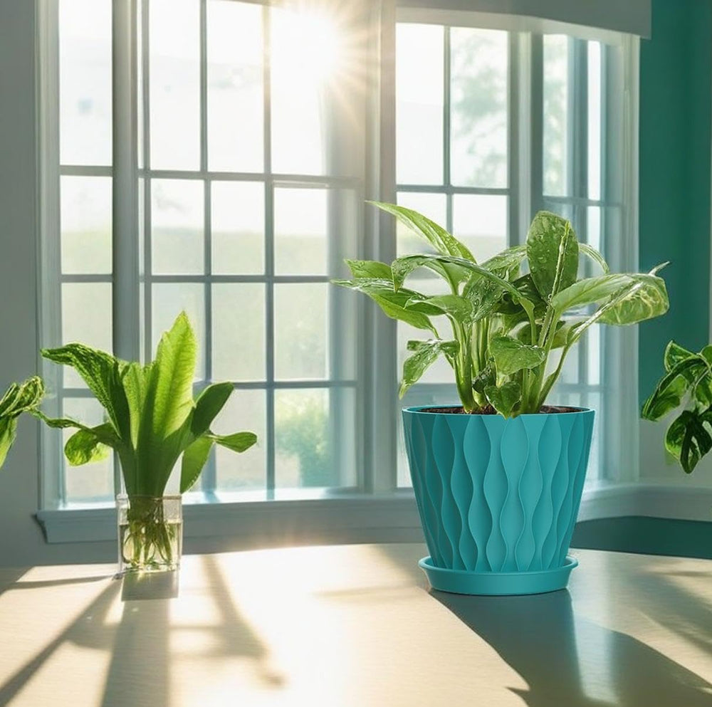 SQKH 4 Inch indoor plant pots in a modern living room