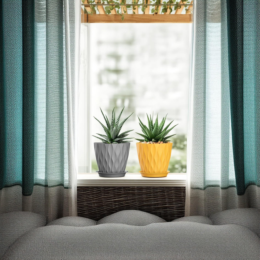 SQKH 5-inch planter pots arranged with succulents