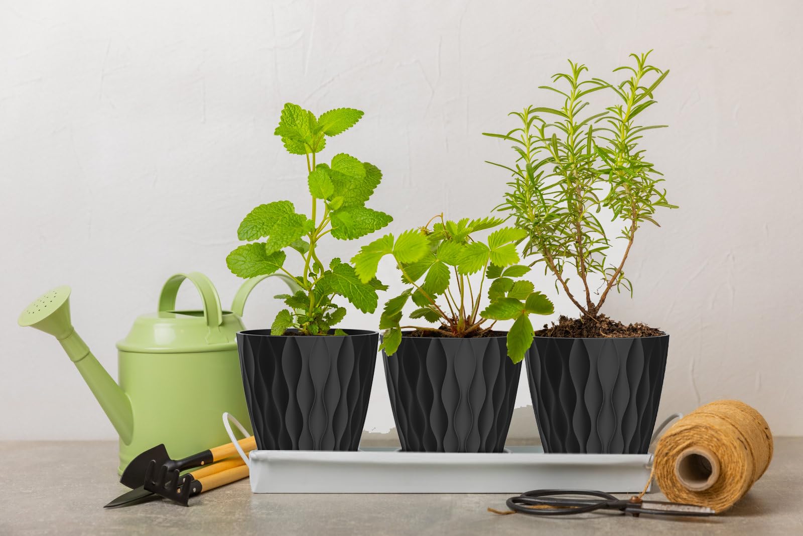 SQKH 6 Inch Indoor Plant Pot displayed on a desk