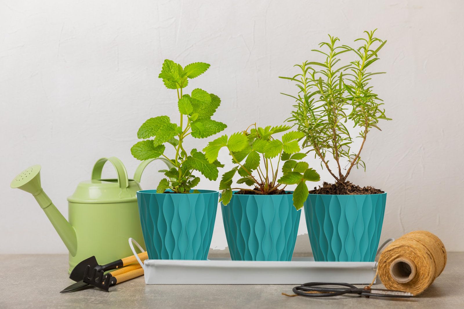 SQKH 6 Inch Plant Pot Blue-Green with herbs planted