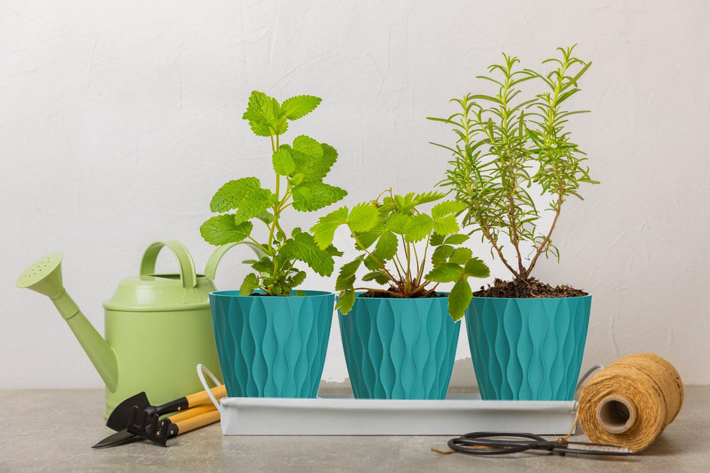 SQKH 6 Inch Plant Pot Blue-Green with herbs planted