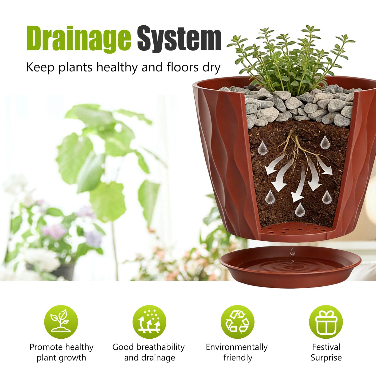 SQKH 8 Inch plant pots displayed with indoor plants