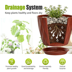 SQKH 8 Inch plant pots displayed with indoor plants