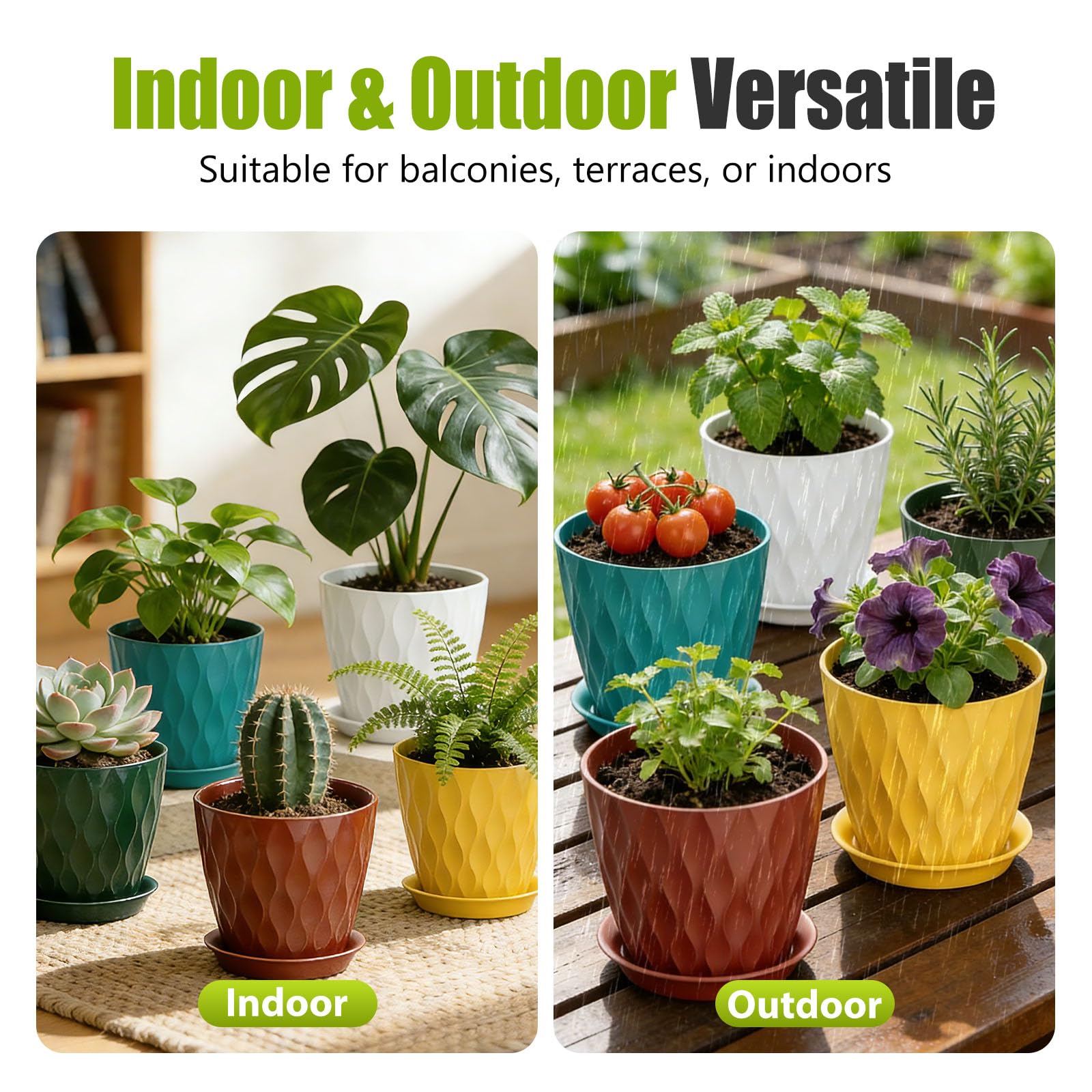 SQKH 8 Inch Plastic Plant Pot in vibrant colour