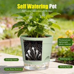 SQKH plant pot in an indoor setting with a monstera plant