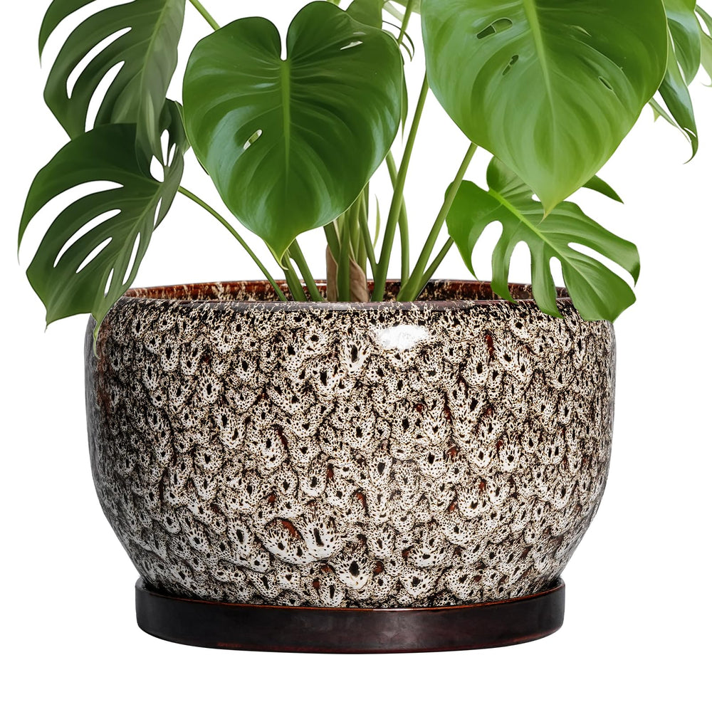 SQOWL 10 Inch Ceramic Plant Pot with white glazed finish