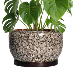 SQOWL 10 Inch Ceramic Plant Pot with white glazed finish