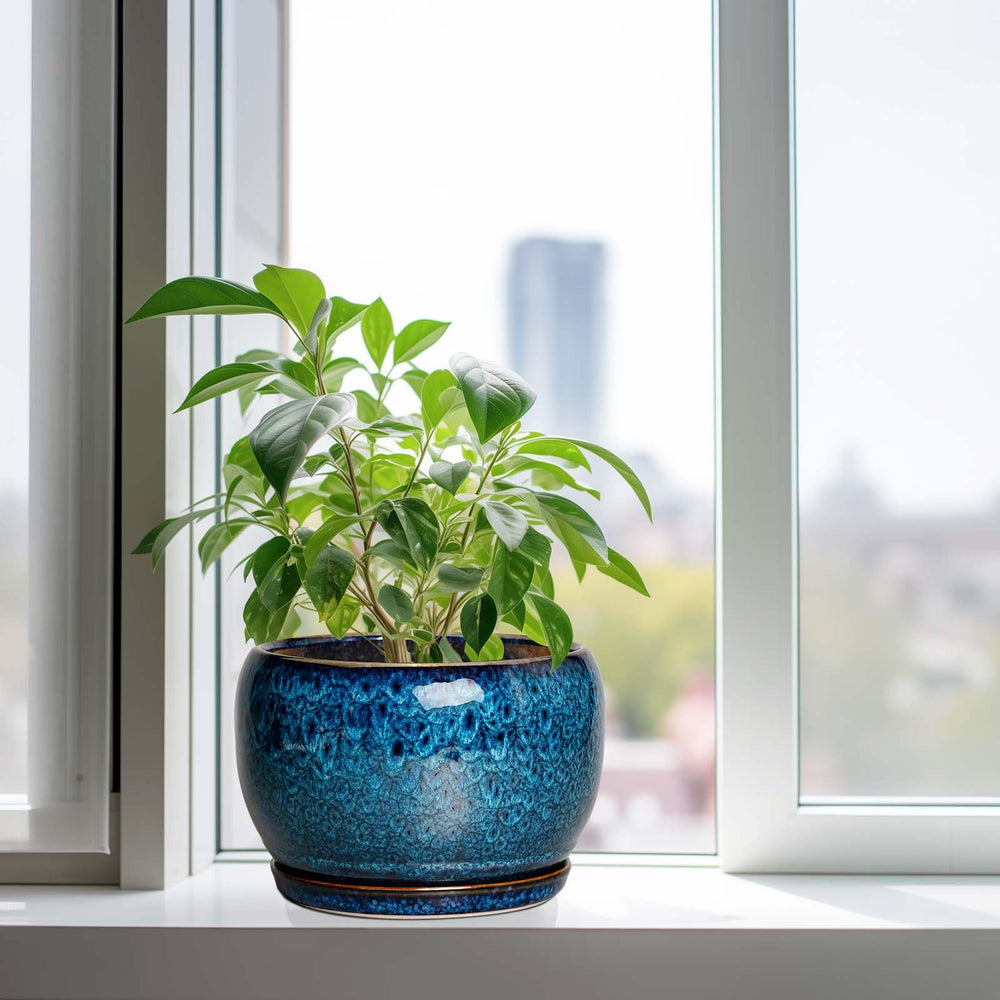 SQOWL 10 Inch Ceramic Planter Pot displayed on a patio table