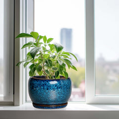SQOWL 10 Inch Ceramic Planter Pot displayed on a patio table