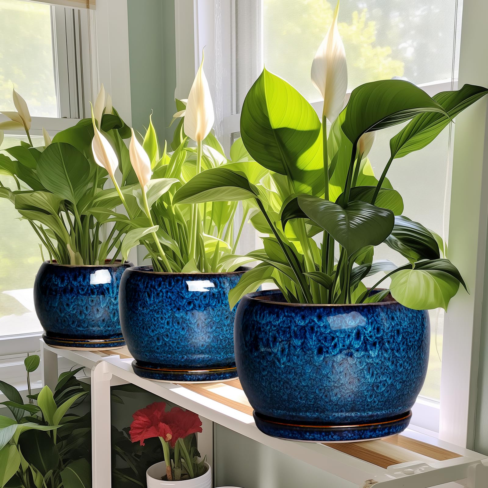 SQOWL 10 Inch Ceramic Planter Pot in a garden setting