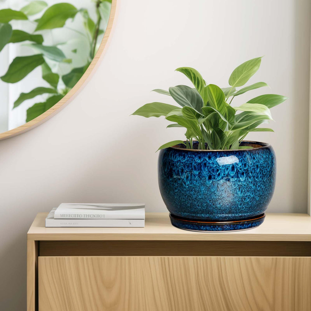 SQOWL 10 Inch Ceramic Planter Pot showcasing its smooth finish