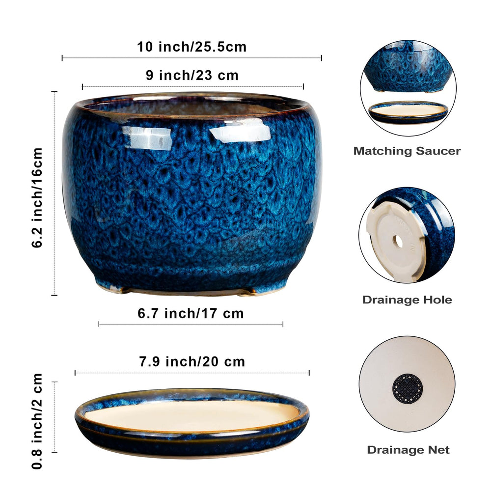 SQOWL 10 Inch Ceramic Planter Pot with a succulent plant inside