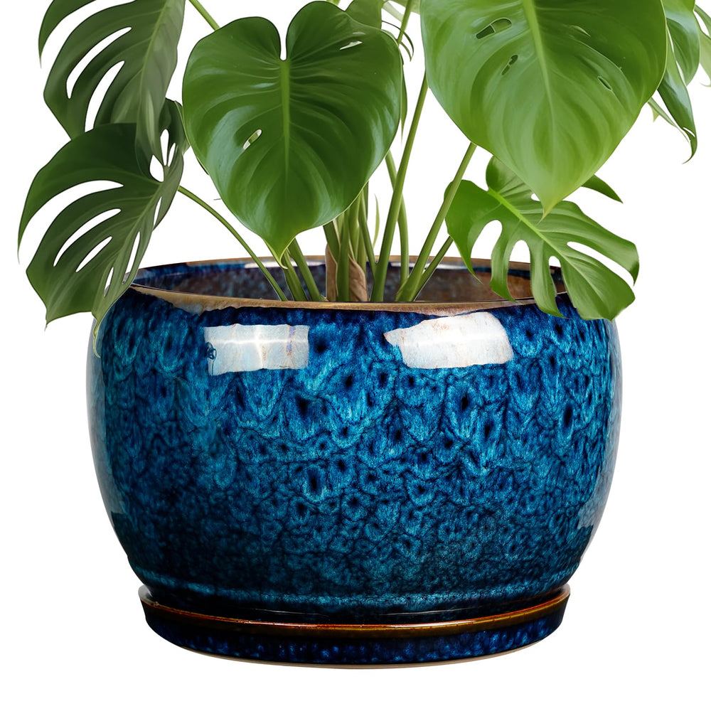SQOWL 10 Inch Ceramic Planter Pot with drainage hole and saucer, blue