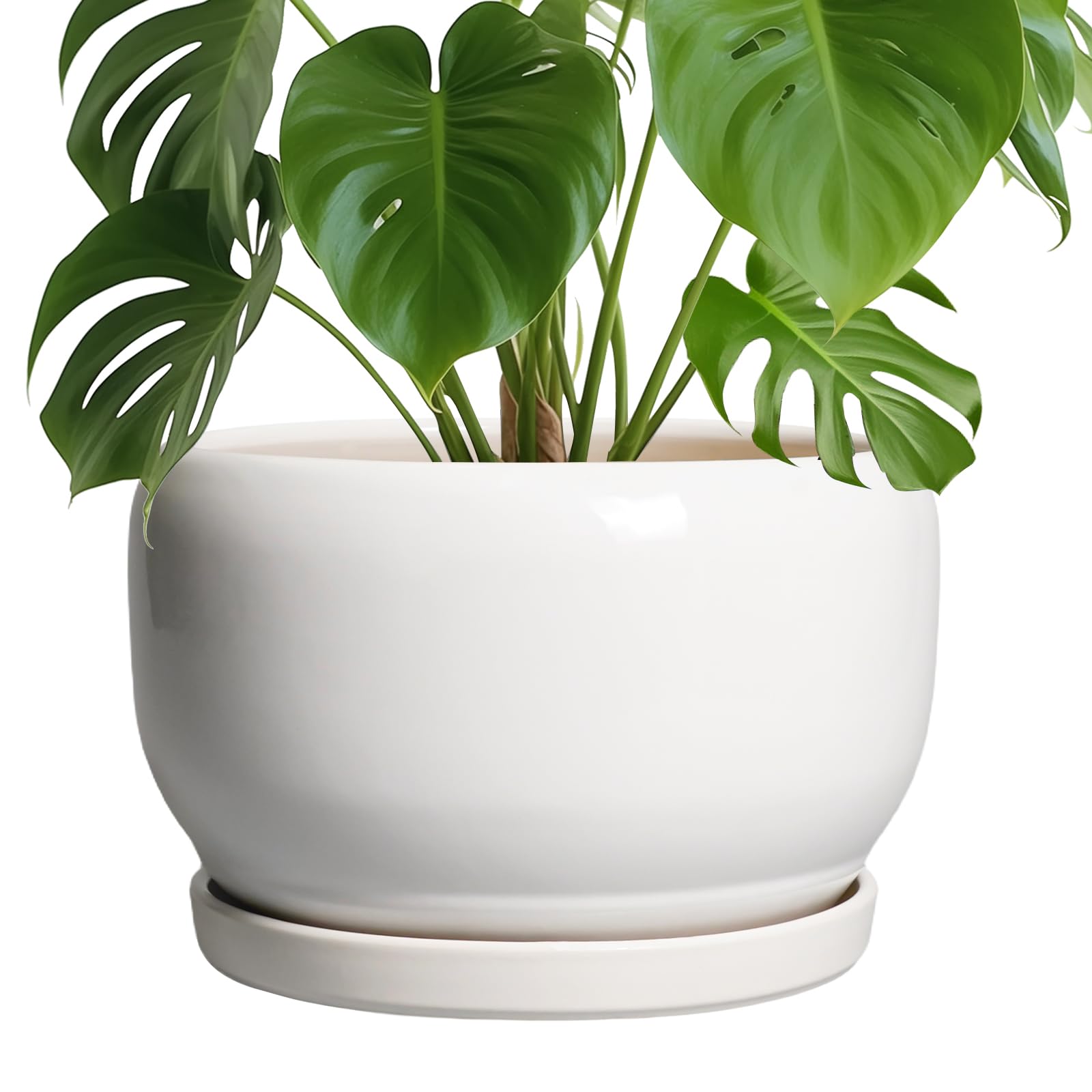 SQOWL 10 Inch Ceramic Planter Pot with Drainage Hole, front view