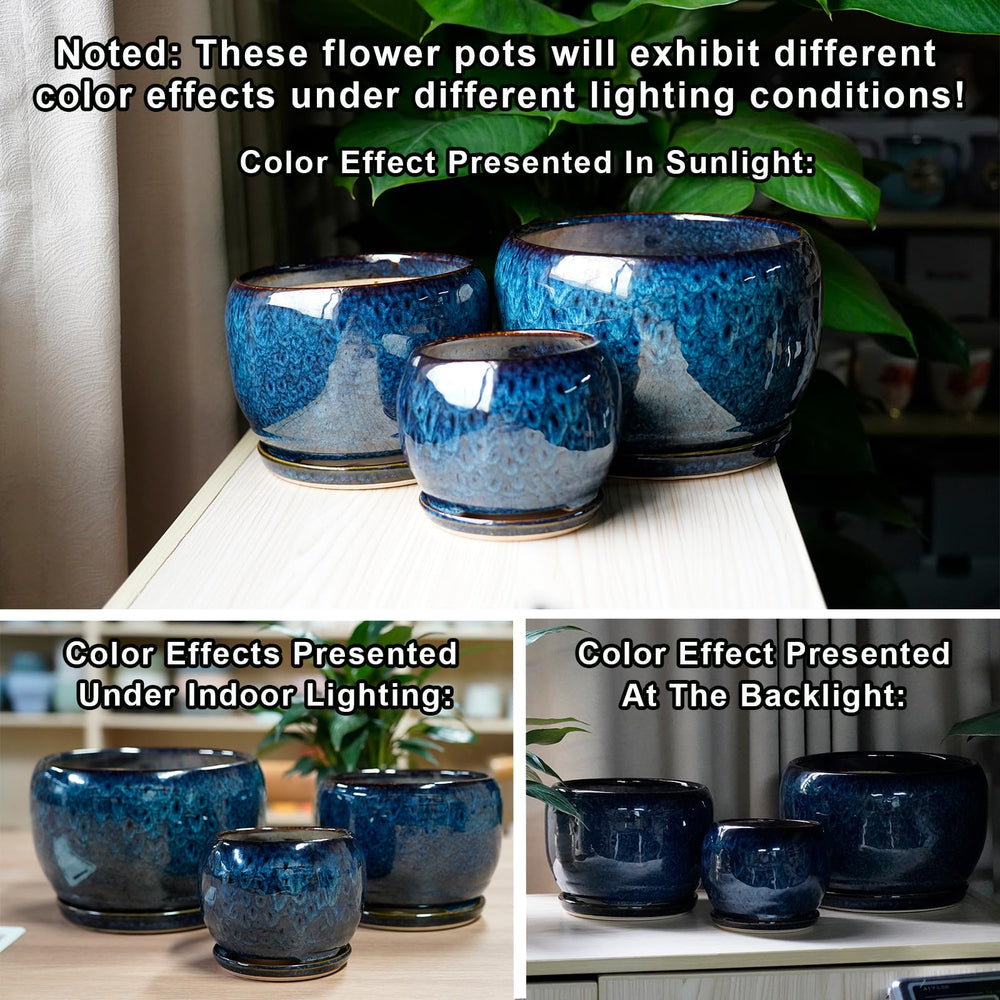SQOWL 10 Inch Ceramic Planter Pot with drainage net included