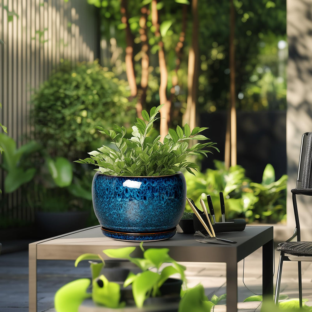 SQOWL 10 Inch Ceramic Planter Pot with matching saucer