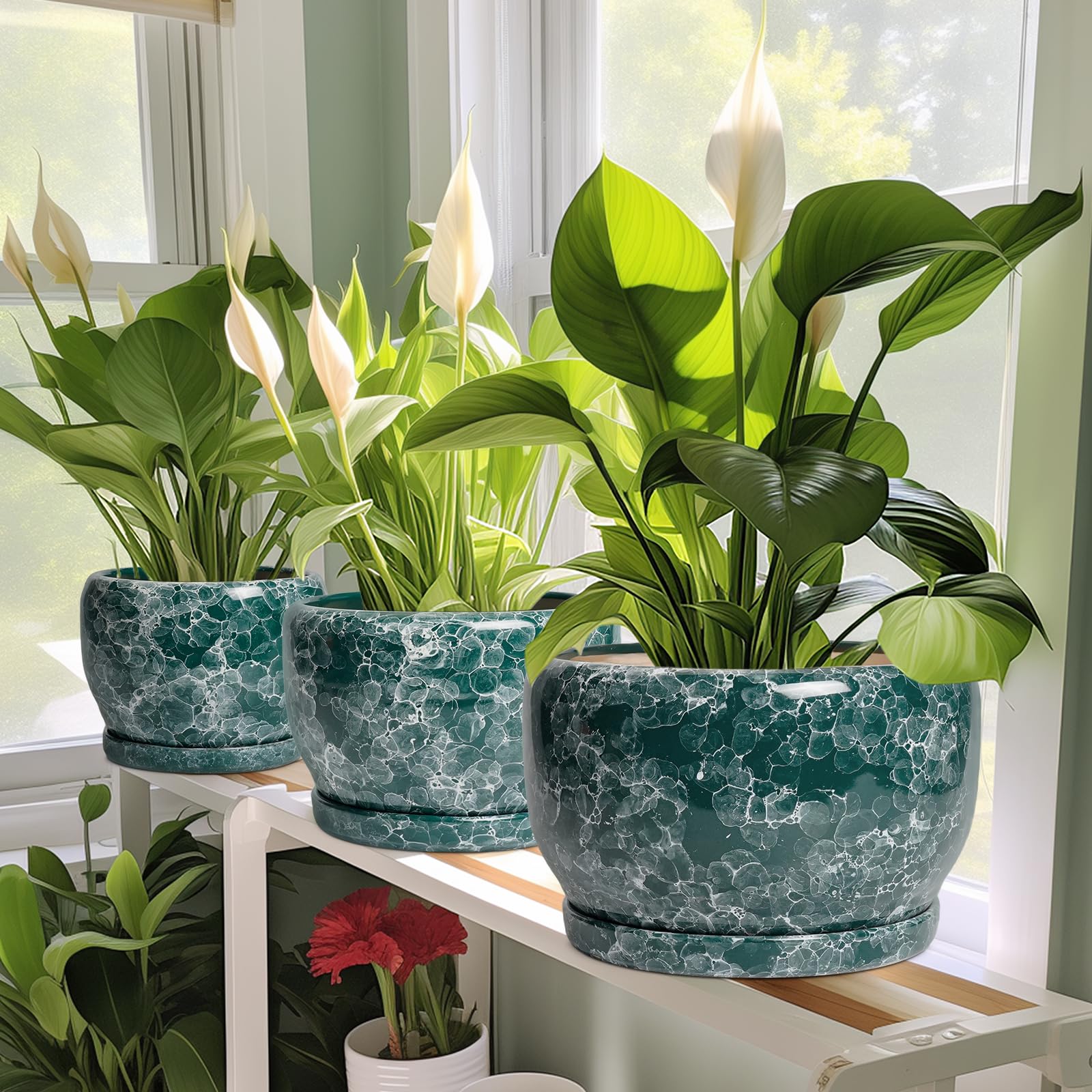 SQOWL 10 Inch plant pot in a garden setting