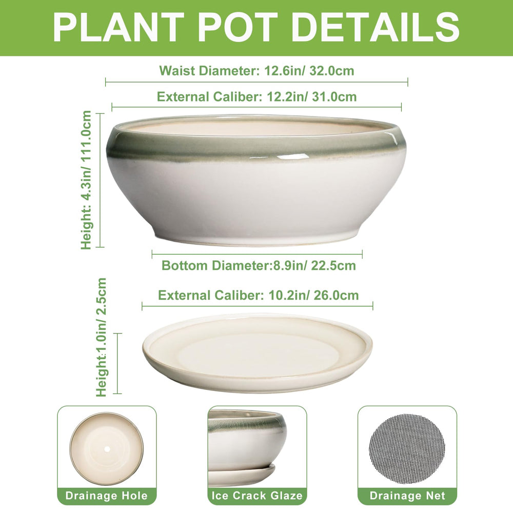 SQOWL 12-inch ceramic bonsai pot with saucer and mesh pad