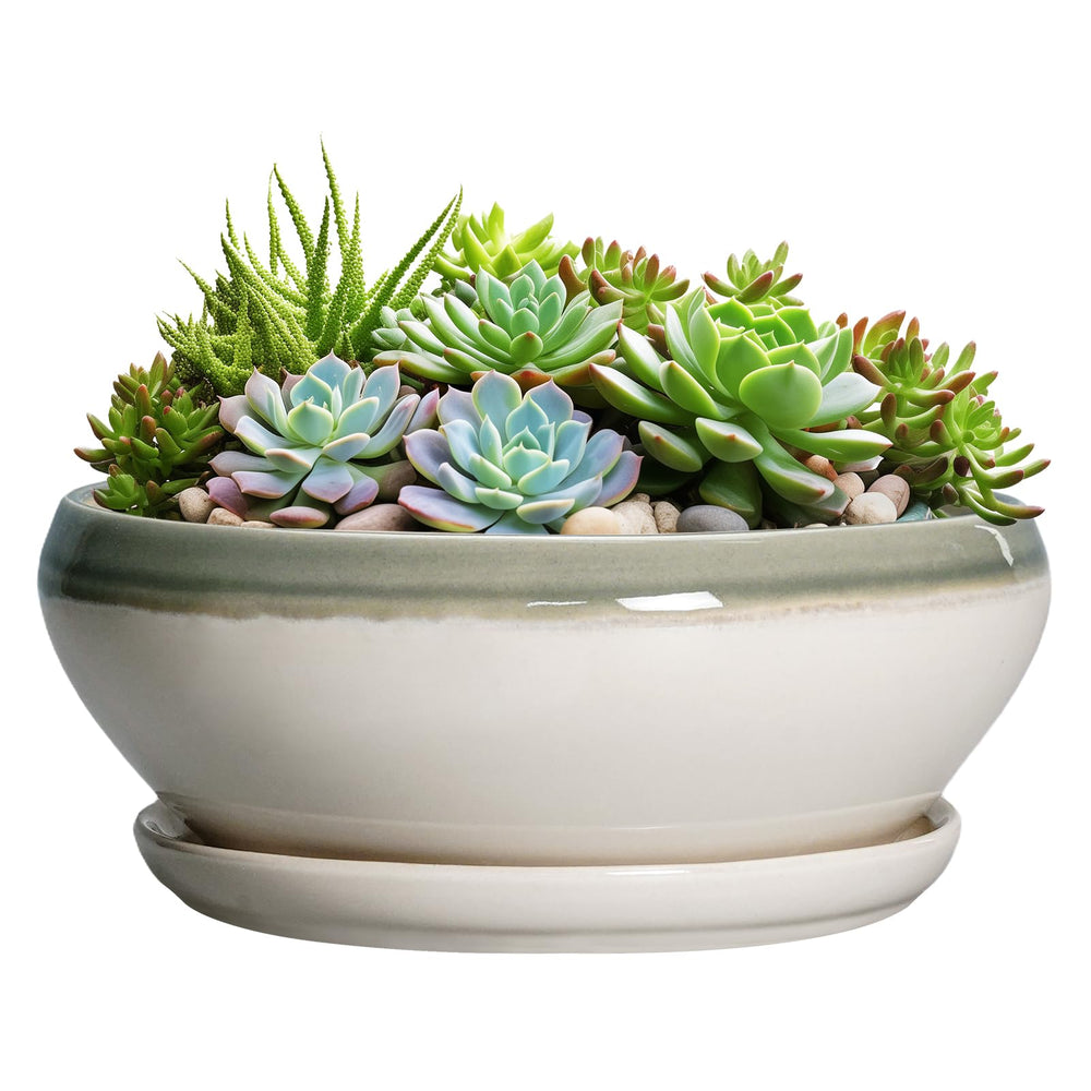 SQOWL 12-inch gray-beige ceramic succulent planter front view