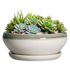 SQOWL 12-inch gray-beige ceramic succulent planter front view
