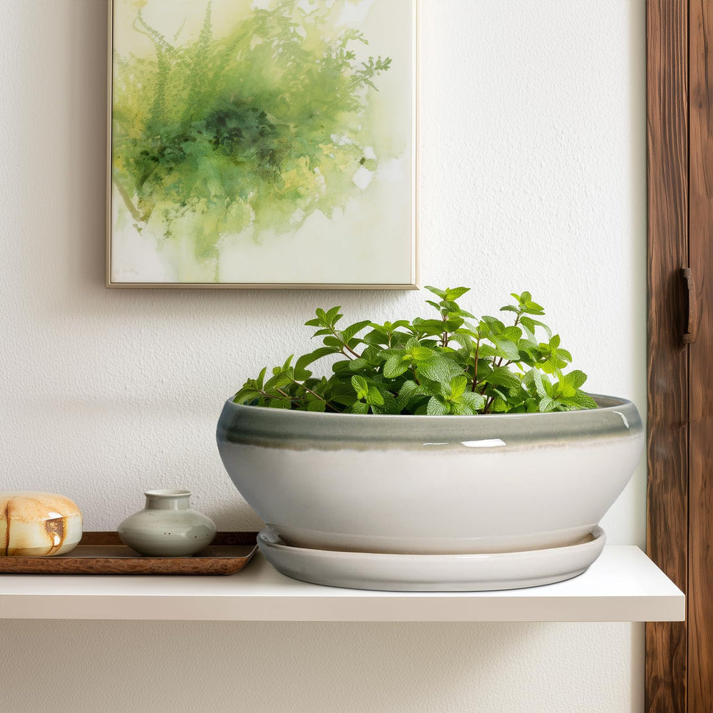 SQOWL 12-inch planter displaying various plants like succulents and herbs