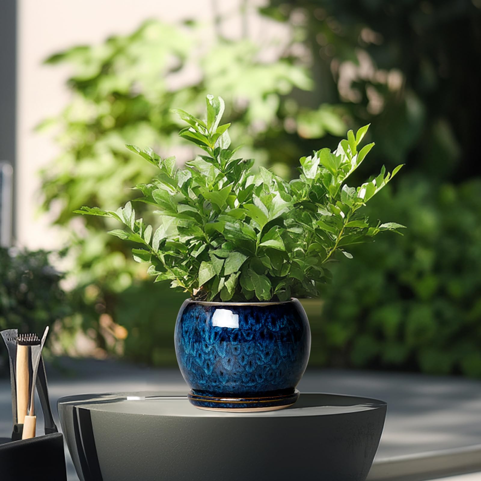 SQOWL 6 Inch Blue Plant Pot in a garden setting