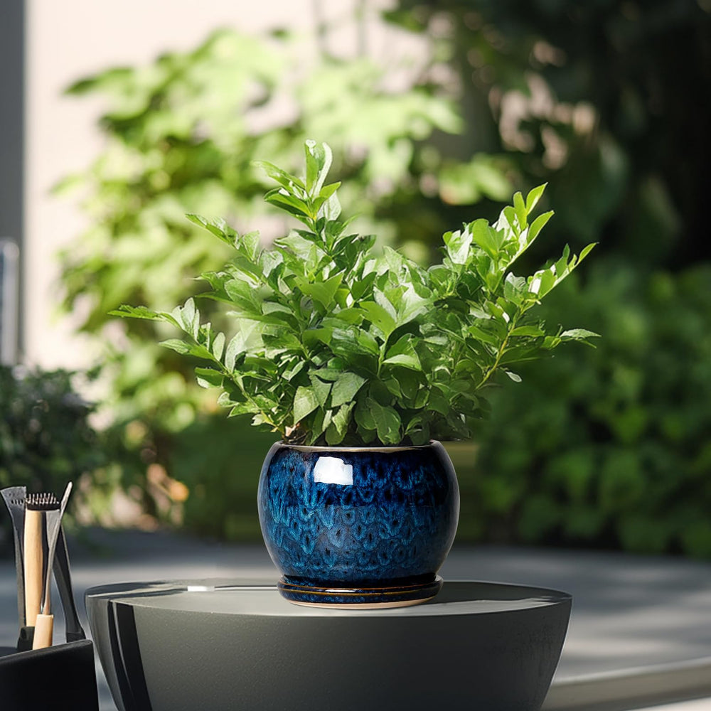 SQOWL 6 Inch Blue Plant Pot in a garden setting