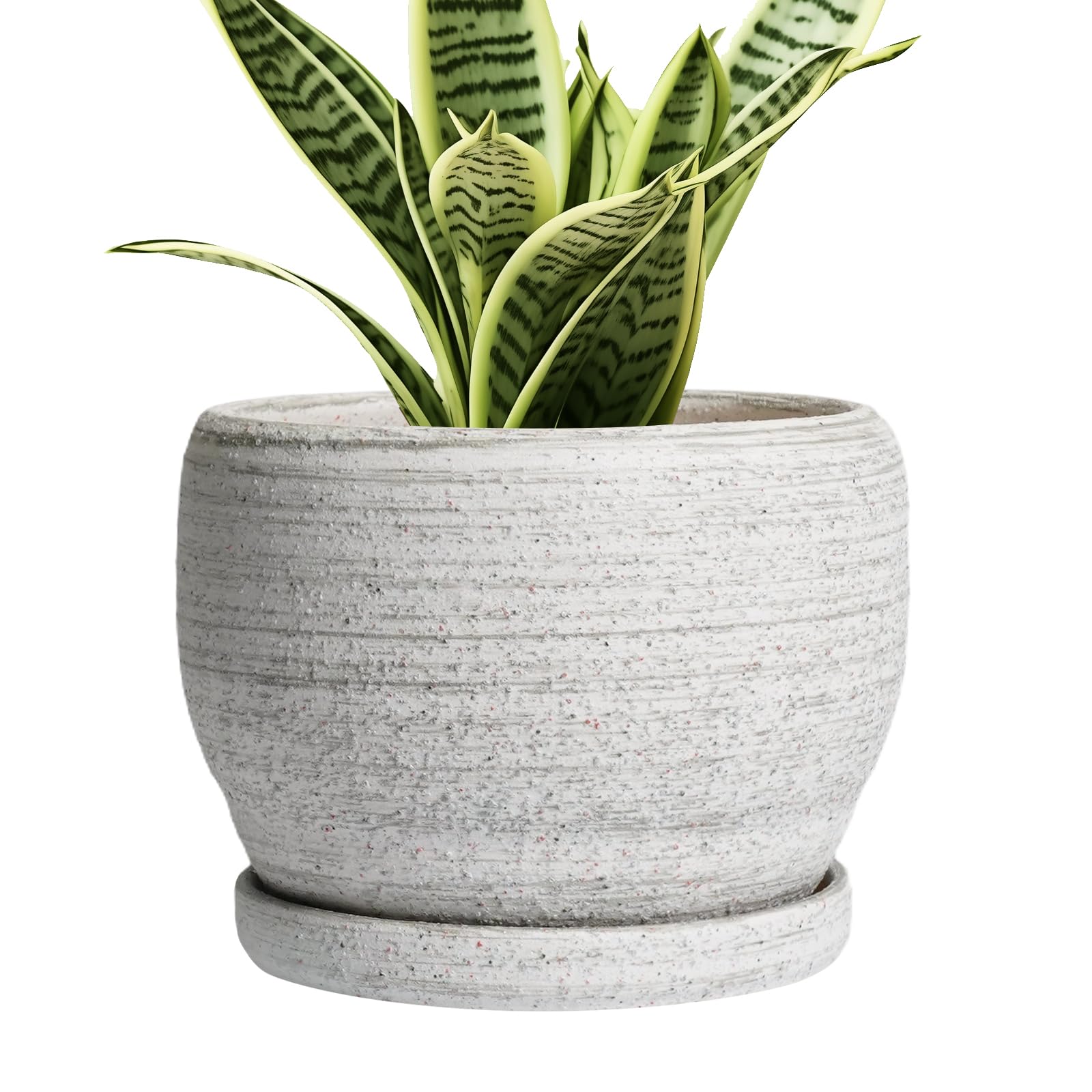 SQOWL 6 Inch Ceramic Planter gray front view with drainage hole