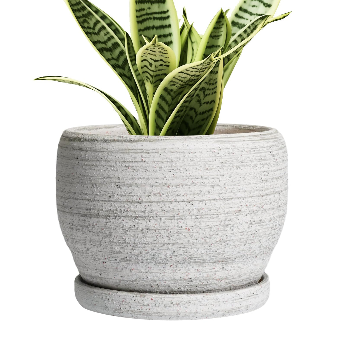SQOWL 6 Inch Ceramic Planter gray front view with drainage hole