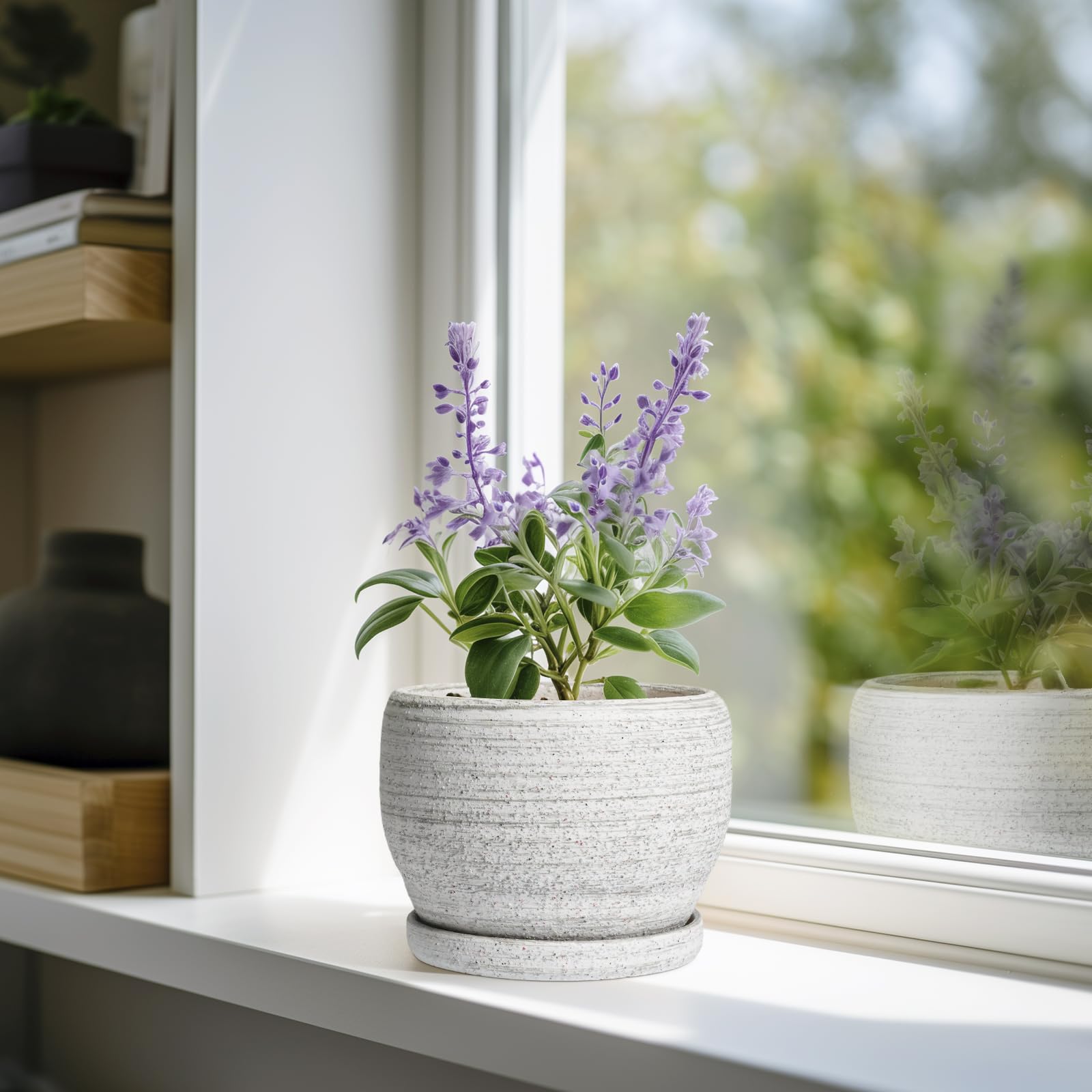 SQOWL 6 Inch Ceramic Planter gray with saucer on a table