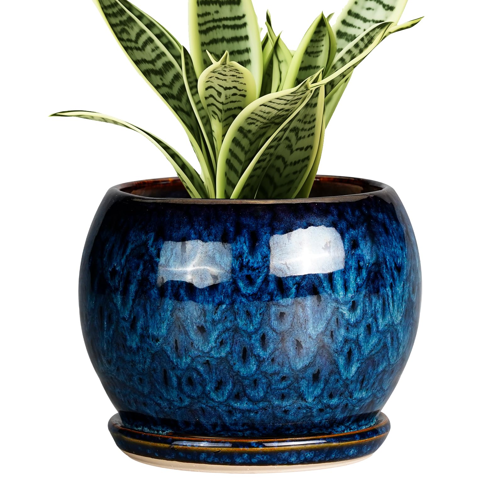 SQOWL 6 Inch Plant Pot front view in blue ceramic