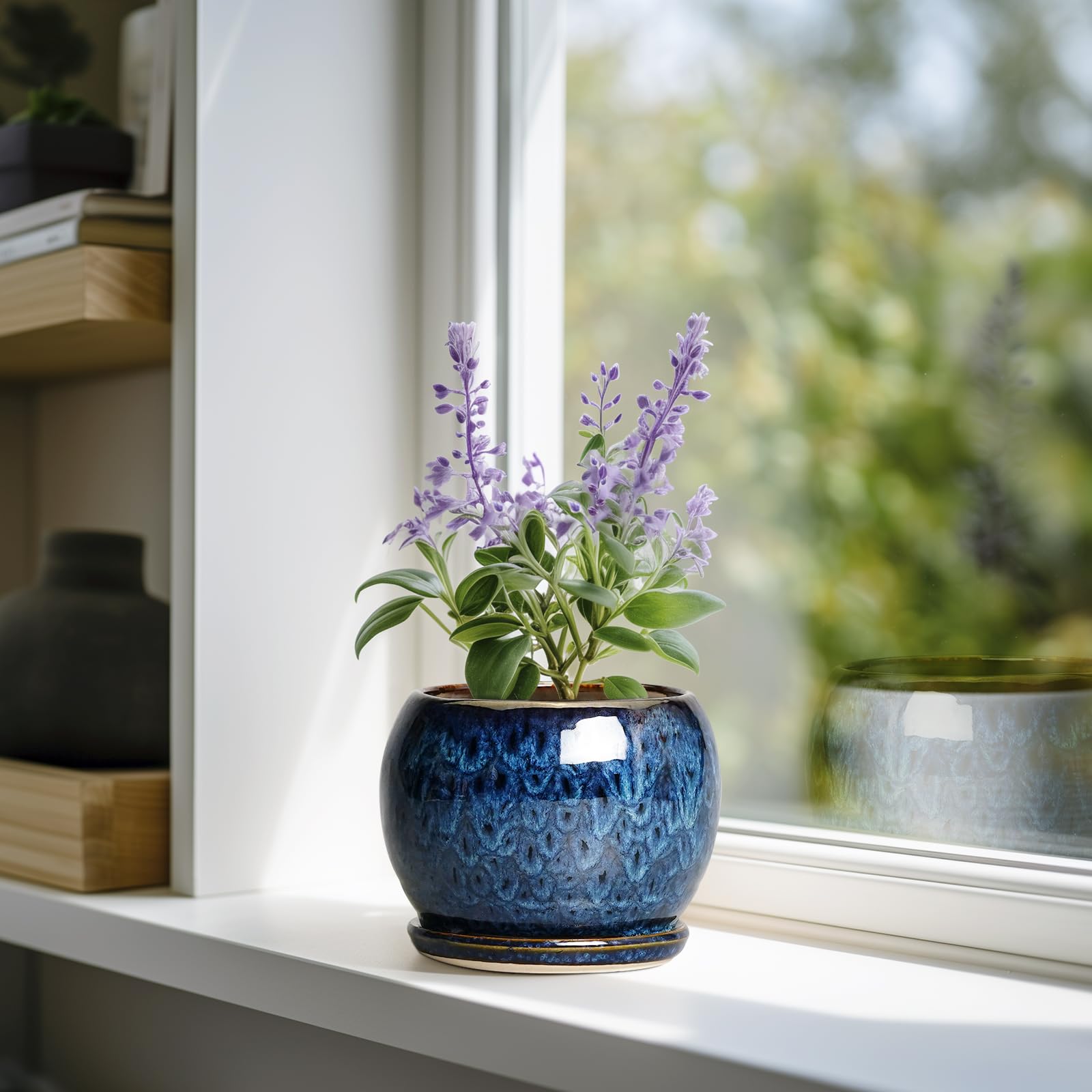 SQOWL 6 Inch Plant Pot with saucer and drainage net