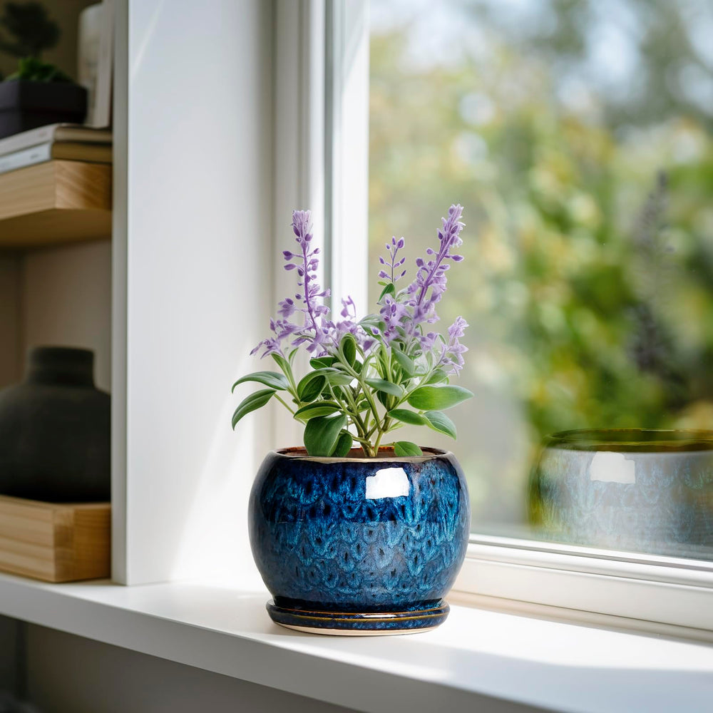SQOWL 6 Inch Plant Pot with saucer and drainage net