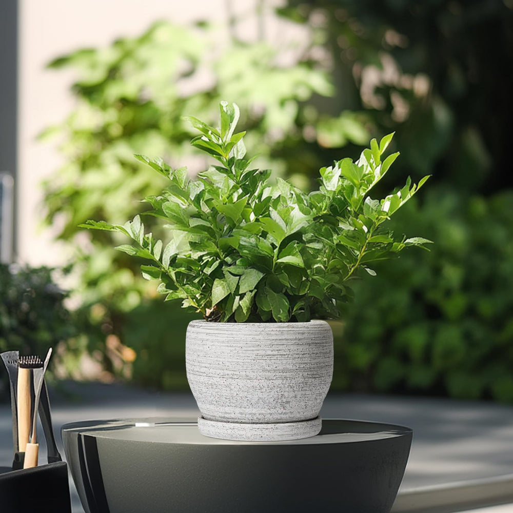 SQOWL 6 Inch Planter gray color close-up