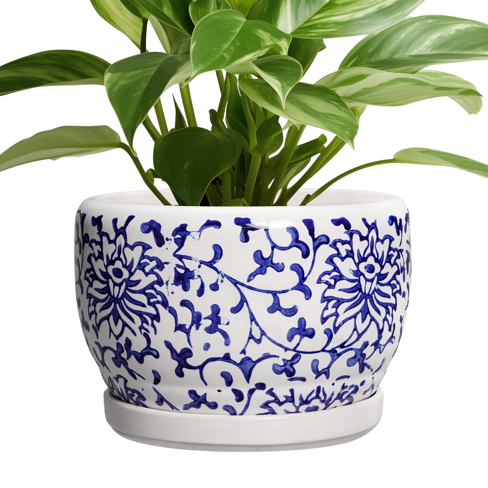 SQOWL 8 inch ceramic planter blue and white front view