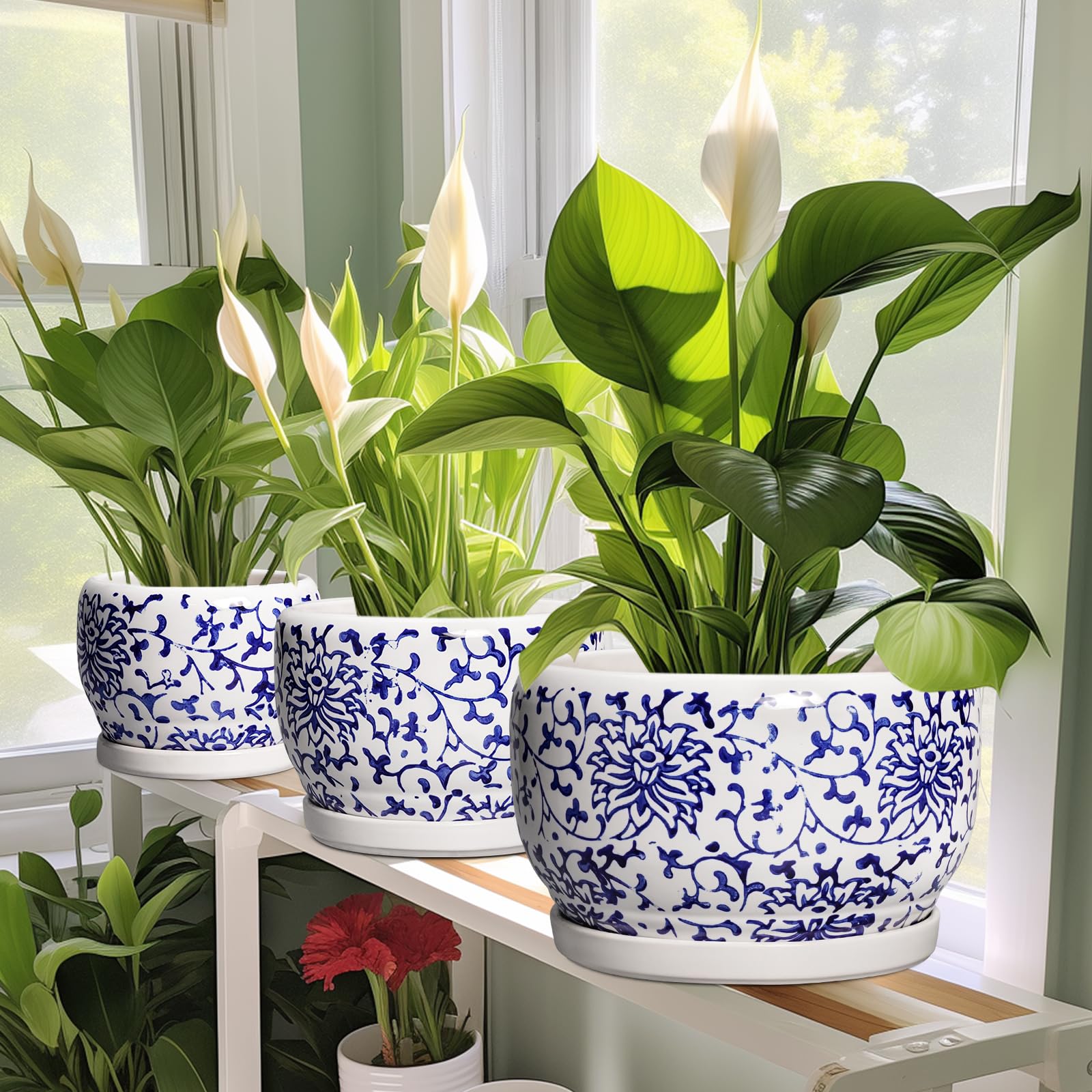 SQOWL 8 inch planter in a garden setting