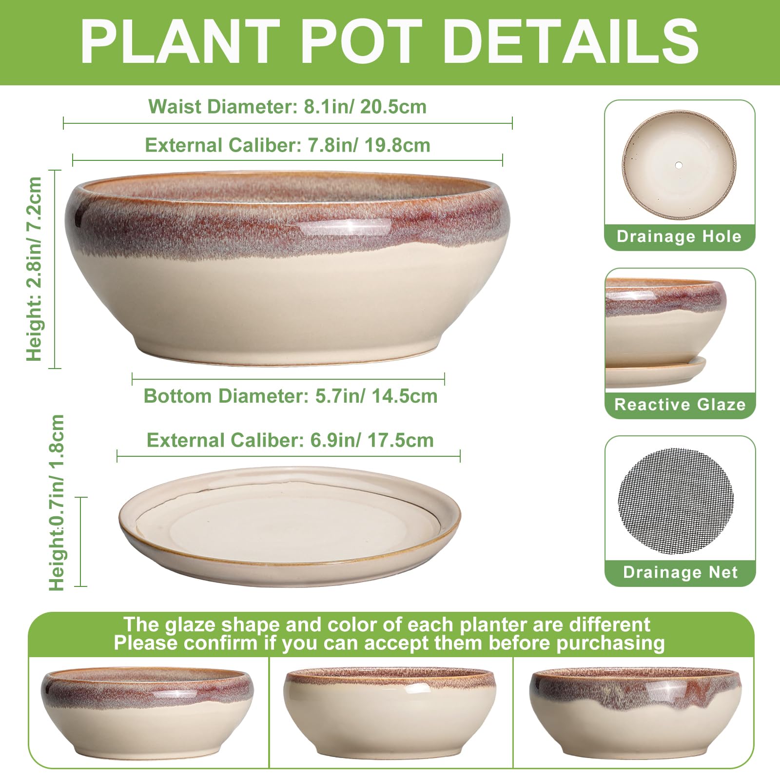 SQOWL 8 Inch succulent pot showing drainage hole and ceramic saucer