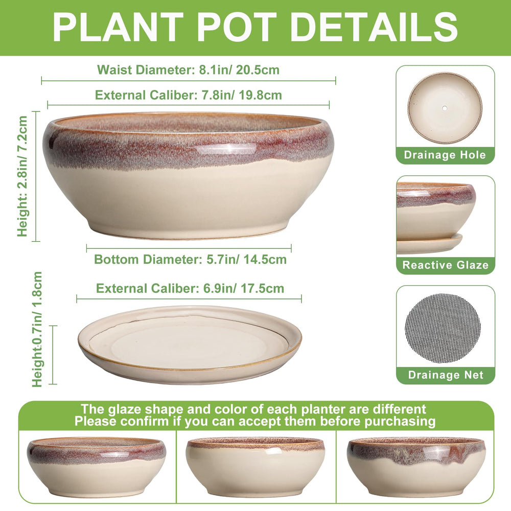 SQOWL 8 Inch succulent pot showing drainage hole and ceramic saucer