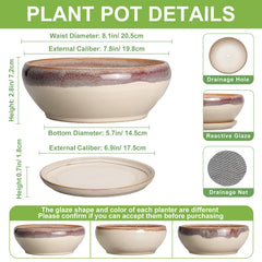 SQOWL 8 Inch succulent pot showing drainage hole and ceramic saucer